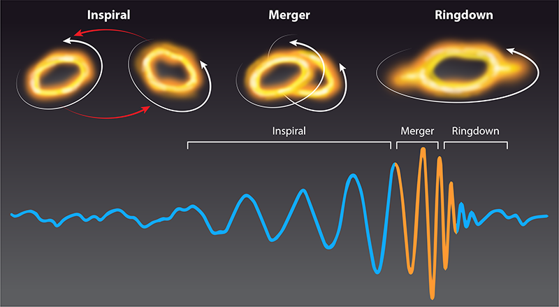 Waveform modelling